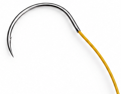 Plain catgut Suture