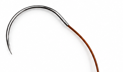 Chromic catgut Suture